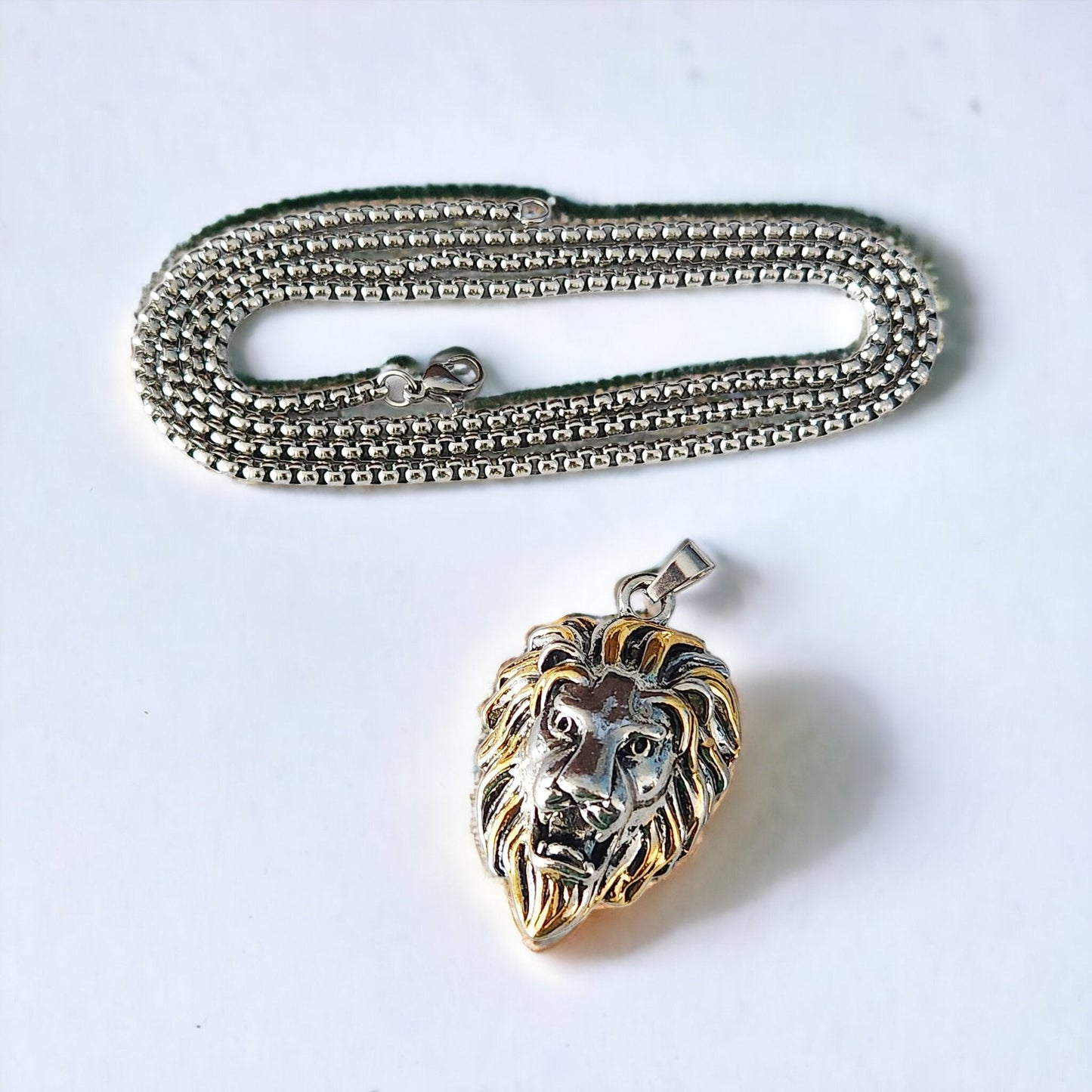 Collar León - El Rincón